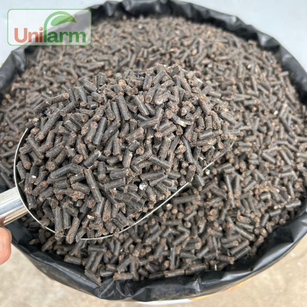 phan huu co Phap, Phan huu co Bi; Phan vien nen; phan huu co;