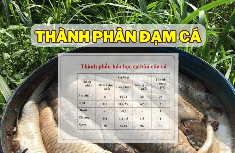 Thành Phần Đạm Cá