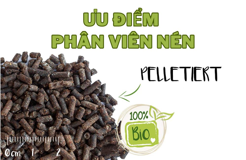 Ưu điểm của Phân viên nén